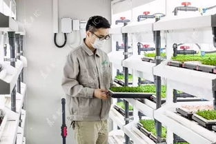 植物工廠的真正潛力 以食品安全為核心的計(jì)算機(jī)賦能之路